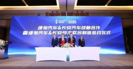 把国资拖入"黑洞" 绿驰会是赛麟第二吗?